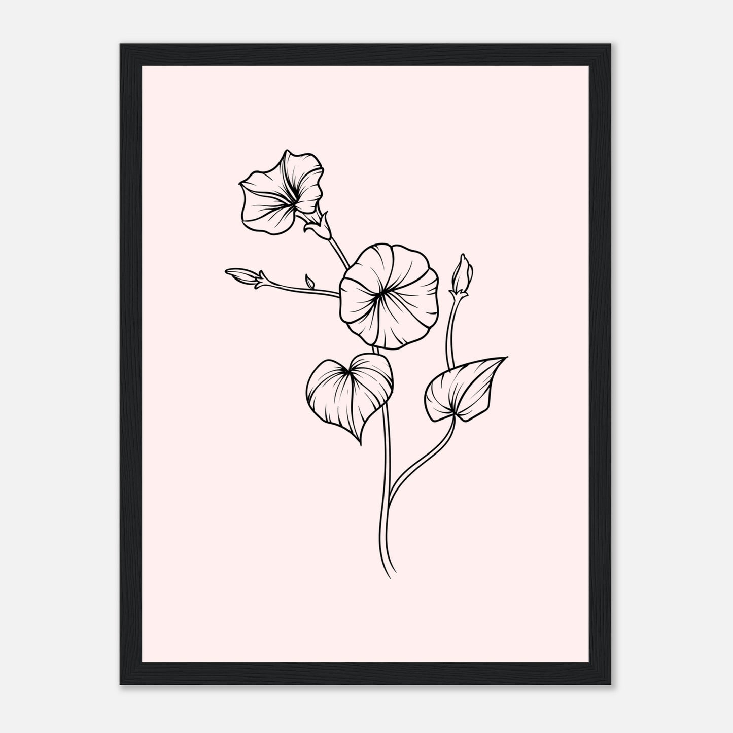 8c48fd8d-1de5-44ca-a412-4d36ae3f7d01